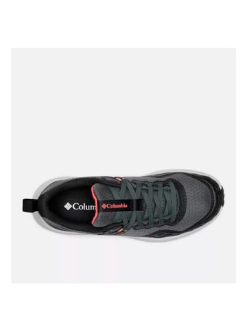 Columbia Sneakers Konos in Grau