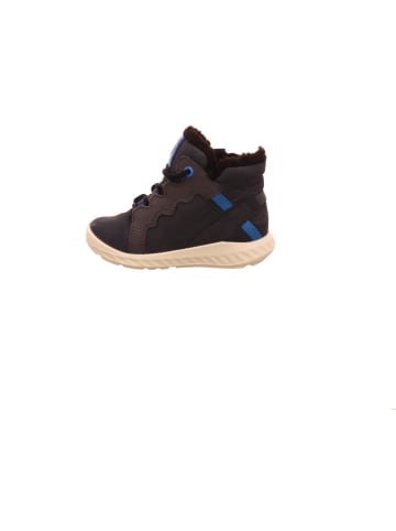 Ecco Kleinkinderstiefel warm TEX Kids in  Blau