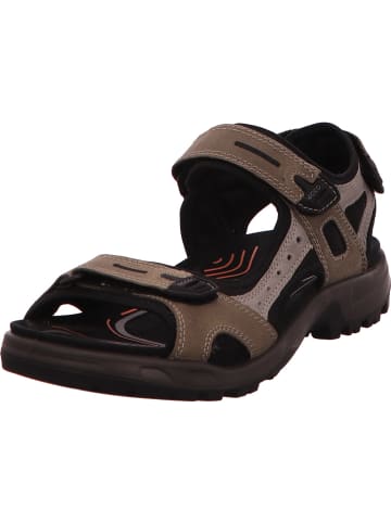 Ecco Sandalette in dunkelgrau
