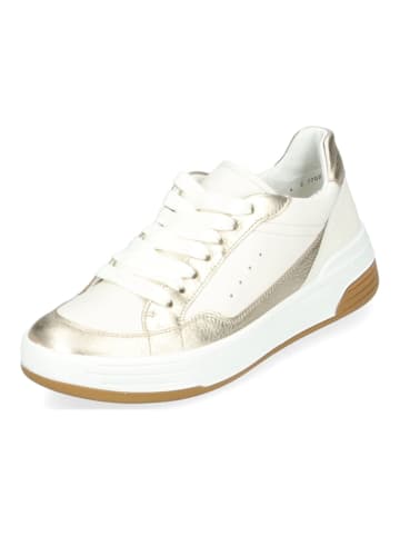 ara Sneaker in Weiß/Gold