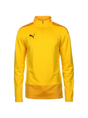 Puma Trainingspullover teamGOAL 23 in gelb / dunkelgelb