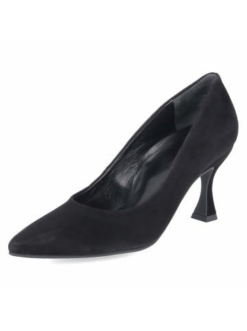 Paul Green Pumps in schwarz