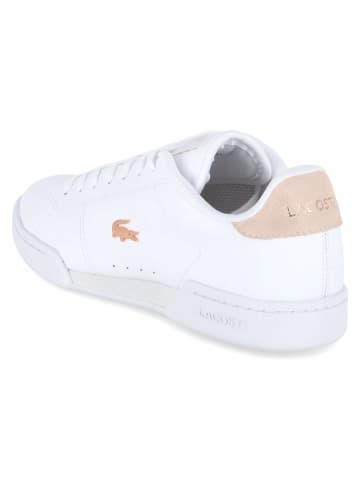 Lacoste Schnürhalbschuh in rosa