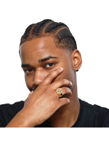 Steel_Art Siegelring Herren Arian goldfarben in goldfarben