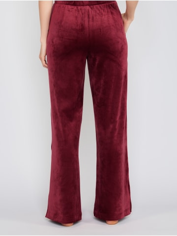 JOOP! Sweatpants Velvet in DARK RED