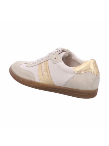 Paul Green Sneaker für Herren in beige