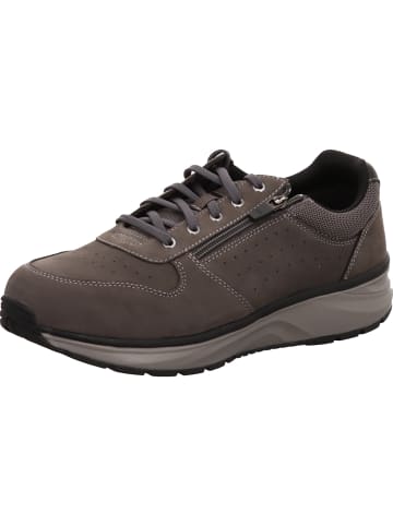 Joya Sneaker Low in braun