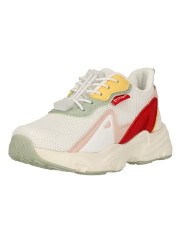 Zigzag Sneaker Bavar in 4076 Bittersweet