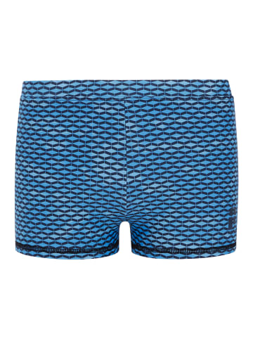 Protest " PRTBilly in Raku Blue