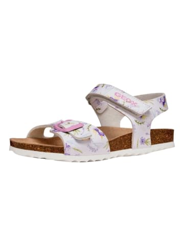 Geox Sandalen in Weiß/Lila