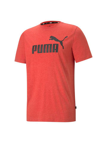 Puma T-Shirt 1er Pack in Rot