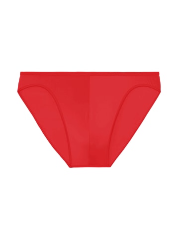 HOM Mini Slip / Unterhose Plumes in Rot