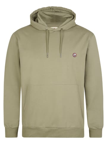 Petrol Industries Baumwoll-Hoodie in großen Größen steelview in Grün