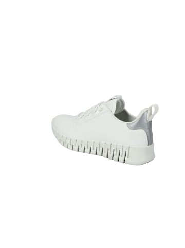 Ecco Schnürschuhe Gruuv W in white/lt. grey