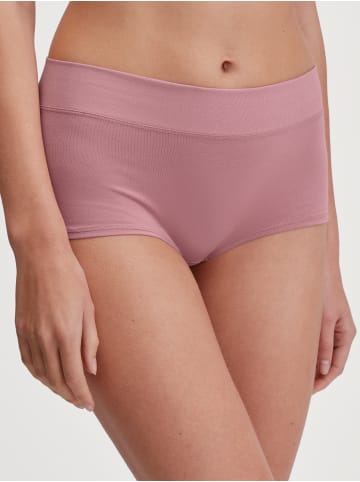 Calida Panty in lilas