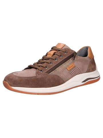 Sioux Sneaker in braun