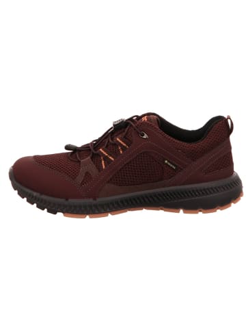 Ecco Lowtop-Sneaker Terracruise II in fig/fig
