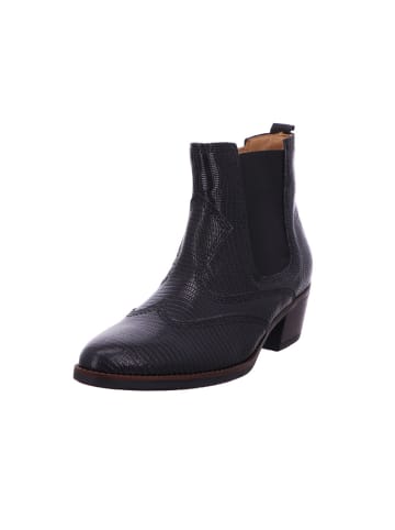 Gabor Stiefeletten für Damen in schwarz in schwarz