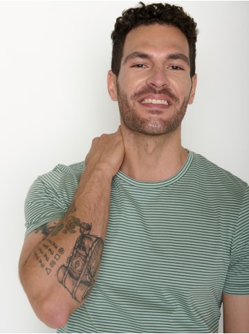 GreenBomb Spice Basic in Bamboo Stripes