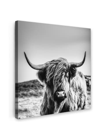 MuchoWow Leinwand bilder Schottisches Hochlandrind (BxH)