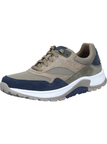 Pius Gabor Schnürschuhe, Sneakers Low in marine/bosco kombi
