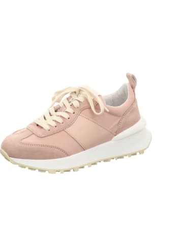 Apple of Eden Sneaker in rosa