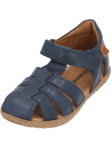 Naturino Sandalen in Navy