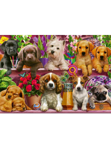 Schmidt Spiele Hunde im Regal (Puzzle)