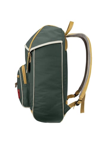 Deuter Innsbruck 22 - Rucksack 46 cm in ivy-caramel