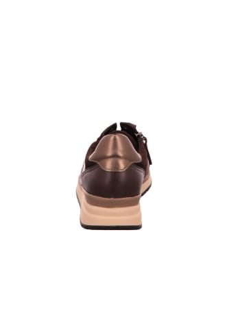 Gabor Sneaker Low in dunkelbraun