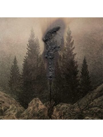 ZYX Music Musik - Avitum