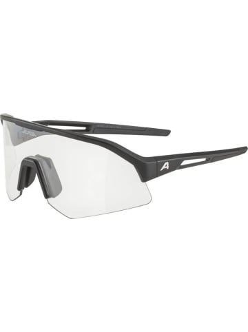 Alpina Ski-Sonnenbrille in schwarz