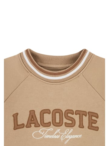 Lacoste Sweatshirt in hellbraun