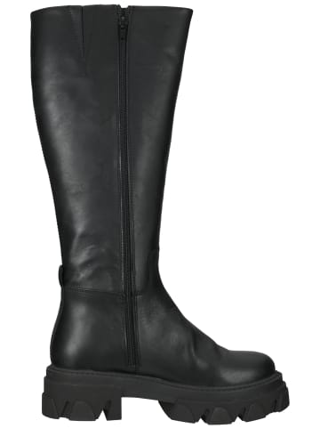 Steve Madden Stiefel in Schwarz