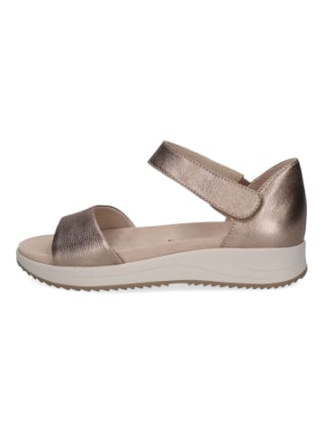 Caprice Sandalen in Taupe