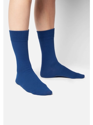 DillySocks Socken D-Compose 2er Set in blue
