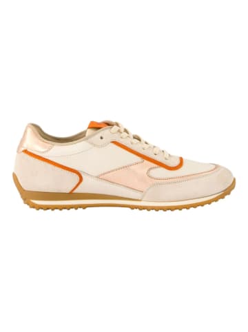 Paul Green Sneaker in Beige/Weiß