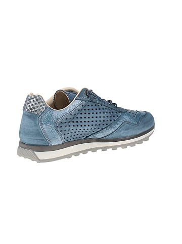 Cetti Sneaker low C-848 SRA V25-26 in Blau