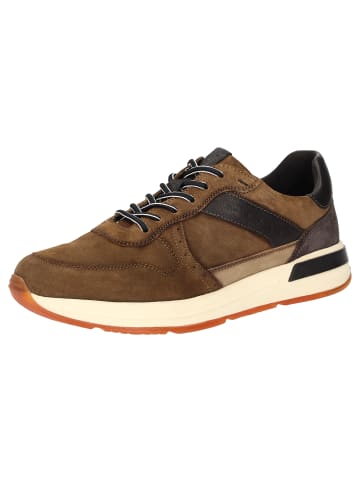 Sioux Sneaker Rojaro-719 in braun