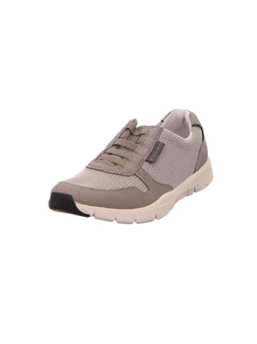 Gabor Lowtop-Sneaker in grau