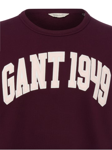 Gant Sweatshirt in aubergine