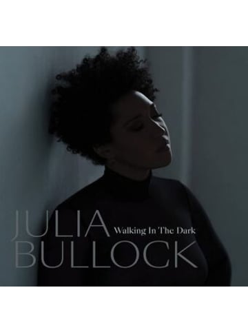I-DI Musik - Walking In The Dark