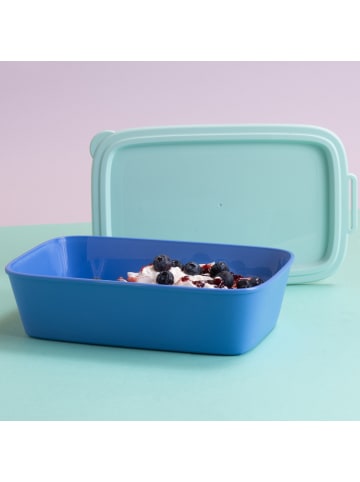 koziol NORA BOX 1,4l - Schale 1,4l mit Deckel in strong blue/sweet green