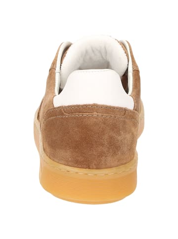 Sioux Sneaker Tedroso-708 in braun