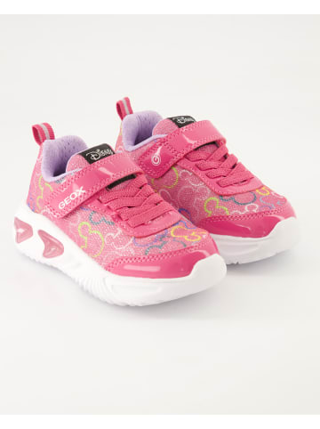 Geox Klettschuhe in Pink