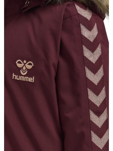 Hummel Mantel Daumenlöcher Hmlleaf Lebensstil Mädchen in WINDSOR WINE
