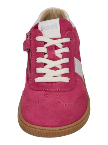 KOEL Sneaker Low DECLAN SUEDE 3.0 in rosa