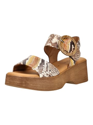 Gabor Sandalen in Multi