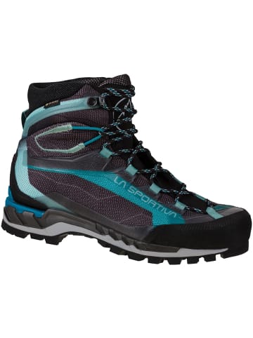 LA SPORTIVA M FITZROY H PARKA in Silber