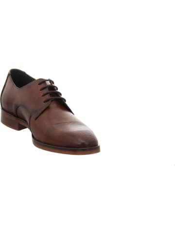 LLOYD Schnürschuhe in braun